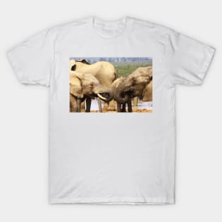 African Wildlife Photography Elephant Face Off T-Shirt